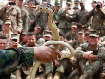 Un soldado agarra dos cobras con las manos Un soldado agarra dos cobras con las manos