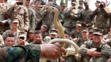 Un soldado agarra dos cobras con las manos