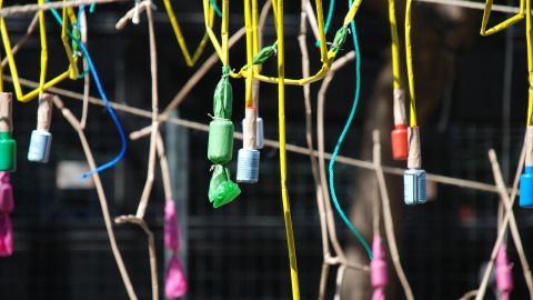 Se celebra La Crida de las fallas 2021 de forma virtual mientras se decide que los d&iacute;as festivos sean lectivos en las aulas