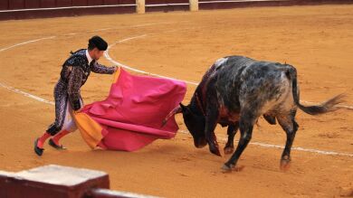 Cartel de toros de la Feria de las Fallas de Valencia 2020