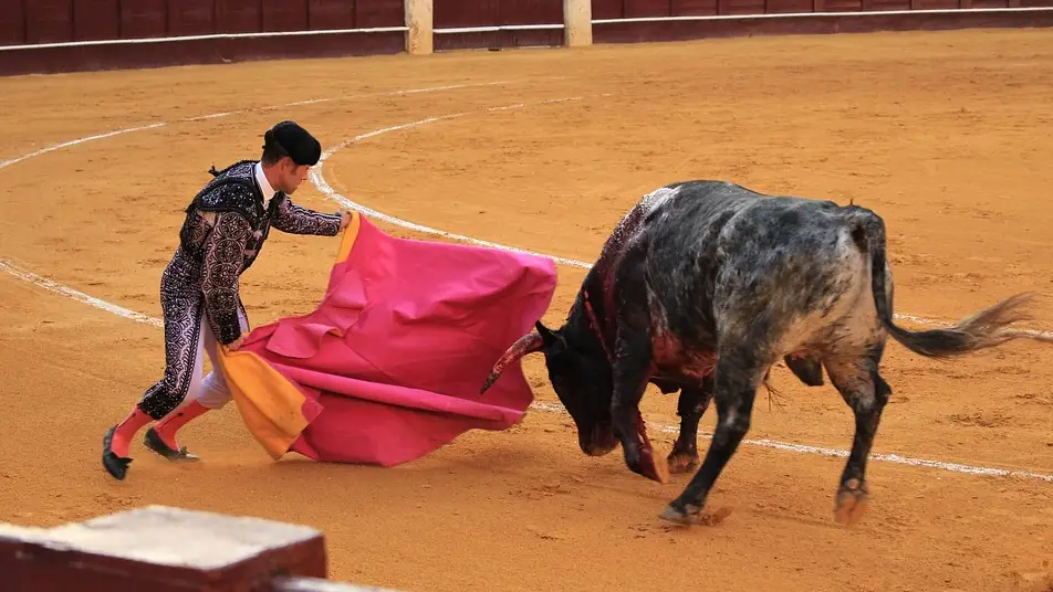 Fallas 2020: Cartel de toros de la Feria de las Fallas de Valencia Plaza de toros de España