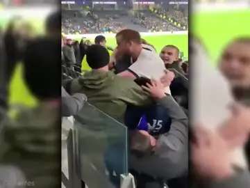 Eric Dier salta a la grada para pegar a un aficionado en defensa de su hermano Eric Dier salta a la grada para pegar a un aficionado en defensa de su hermano