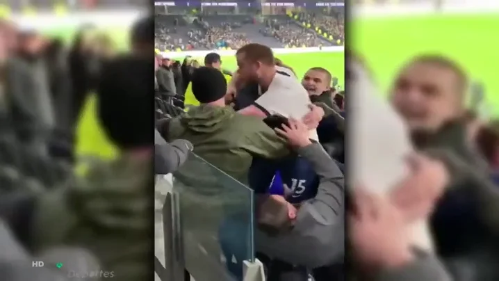 Eric Dier salta a la grada para pegar a un aficionado en defensa de su hermano