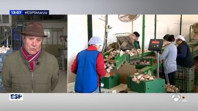 Zacarias, el agricultor al que el coronavirus ha hecho aumentar la venta de ajos en un 25%