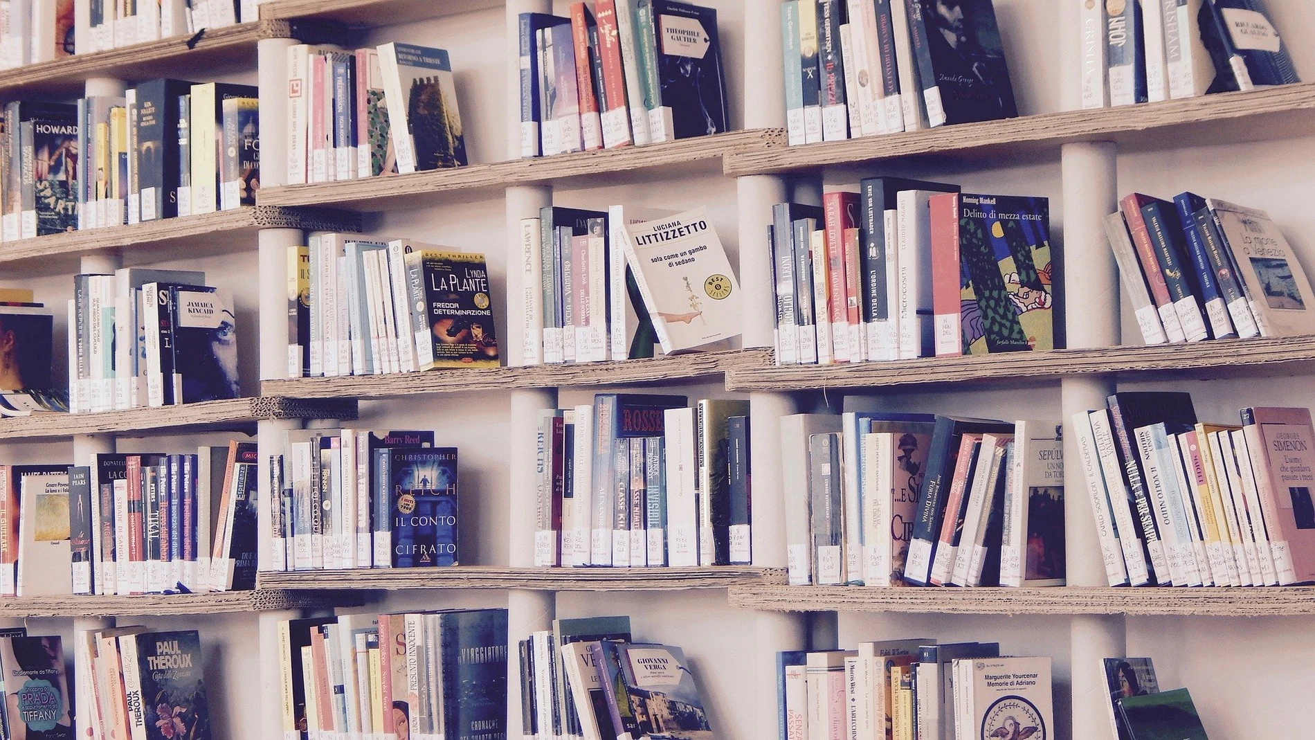 Libros en una biblioteca Libros en una biblioteca