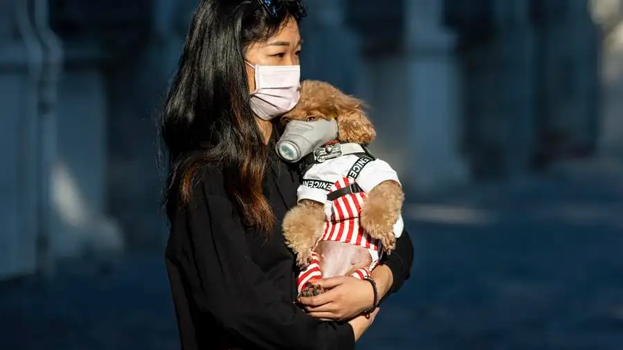 Mujer llevando a su perro con mascarilla
