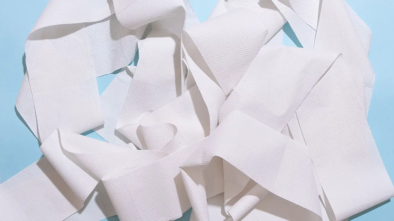 Papel higi&eacute;nico