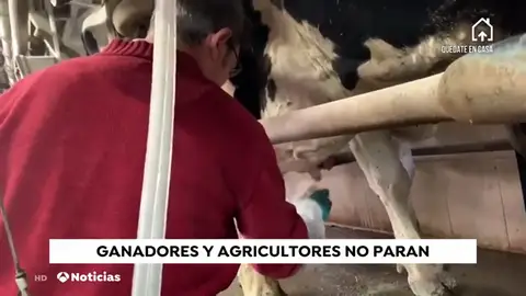 ganaderos ganaderos