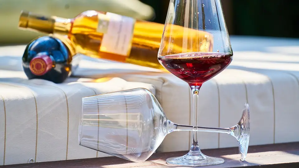 Vinos Vinos