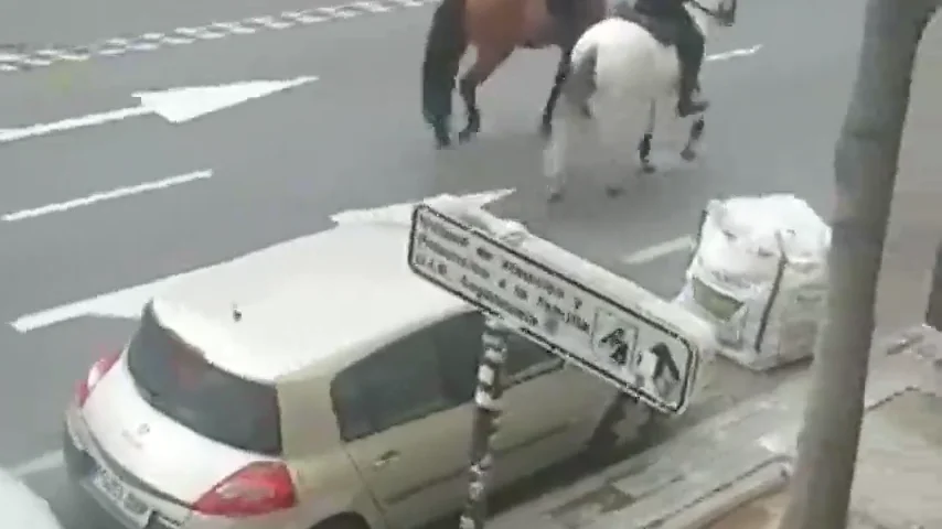 La pers La pers