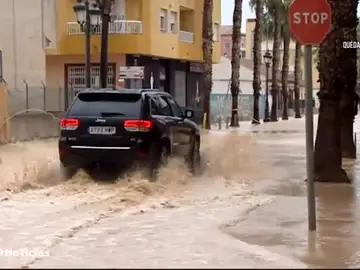 LOS ALACAZARES LOS ALACAZARES