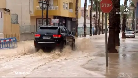 LOS ALACAZARES LOS ALACAZARES