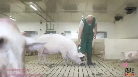 Un ganadero Un ganadero