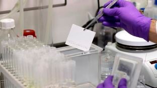 Investigaci&oacute;n en laboratorio