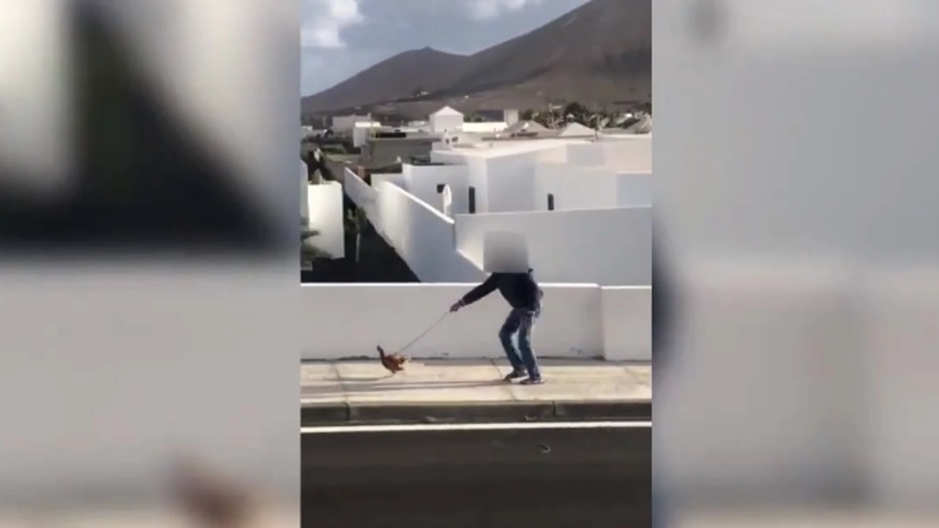 Imagen del vecino denunciado por pasear a una gallina saltándose el confinamiento Imagen del vecino denunciado por pasear a una gallina saltándose el confinamiento