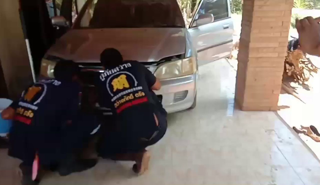 Una serpiente escondida en el motor