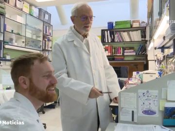 Científicos españoles a la cabeza de la carrera por lograr la vacuna contra el coronavirus