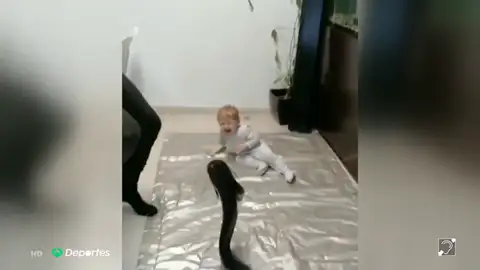 PESCA PESCA