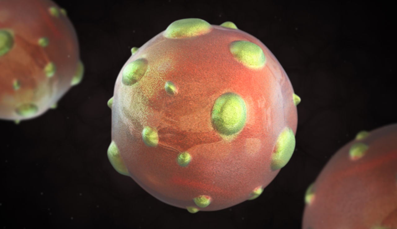 Recreación 3D del hantavirus