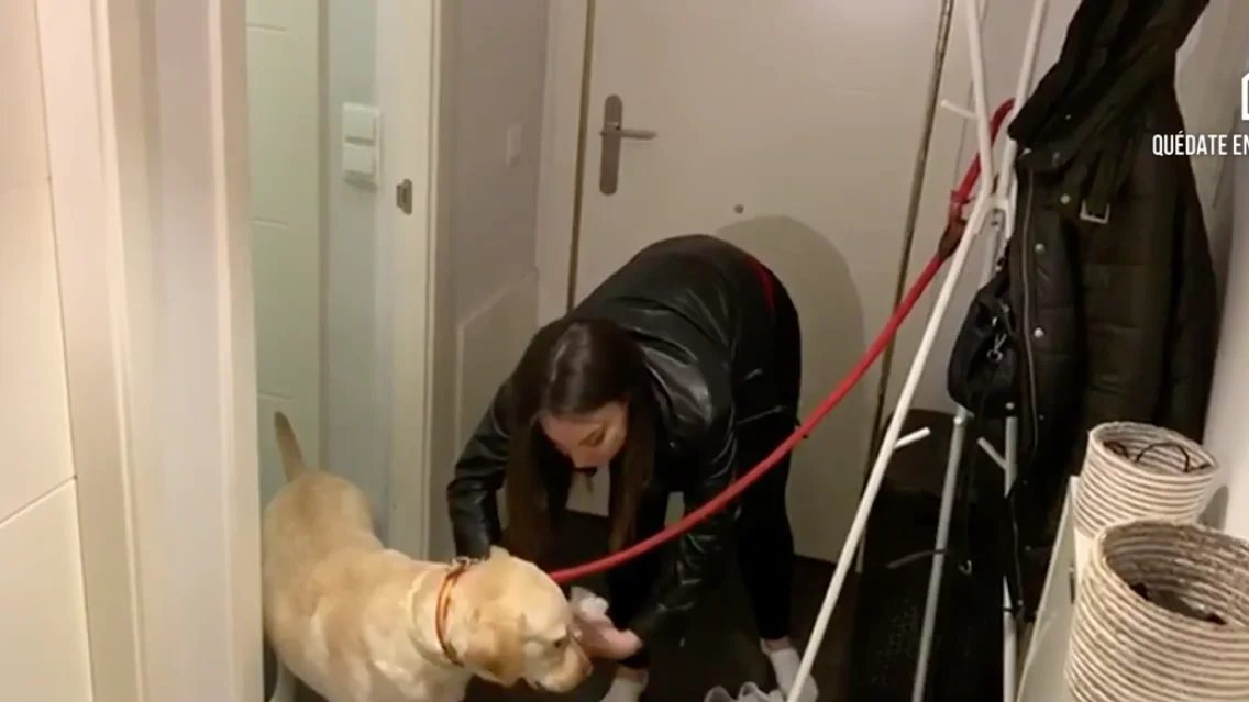 Desinfección de los animales Desinfección de los animales