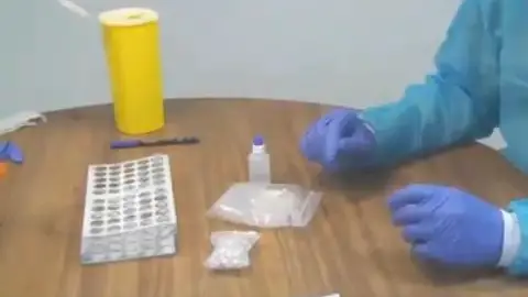 test rápido test rápido