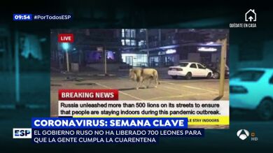 Leones en las calles para asegurar el confinamiento por coronavirus y otros bulos que no debes creer