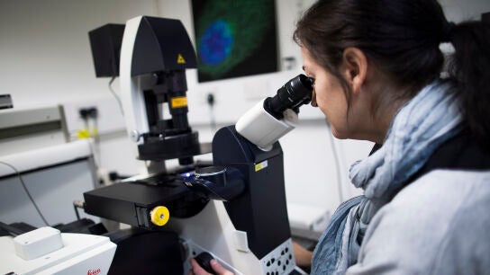Una cient&iacute;fica mira a trav&eacute;s de un microscopio