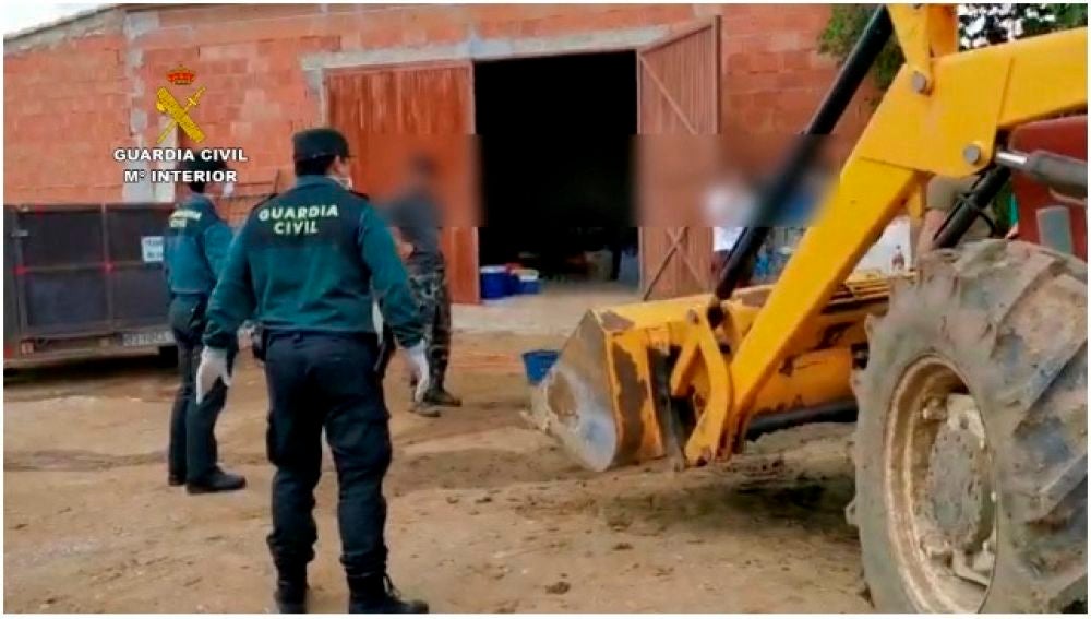 La Guardia Civil sorprende a un grupo de personas realizando una matanza en pleno confinamiento por el coronavirus