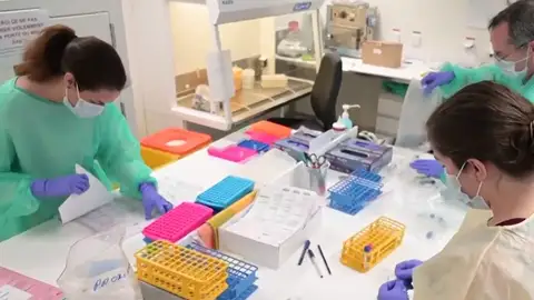 Sanitarios clasificando las pruebas de los pacientes afectados ¿Qué sabemos sobre el coronavirus?