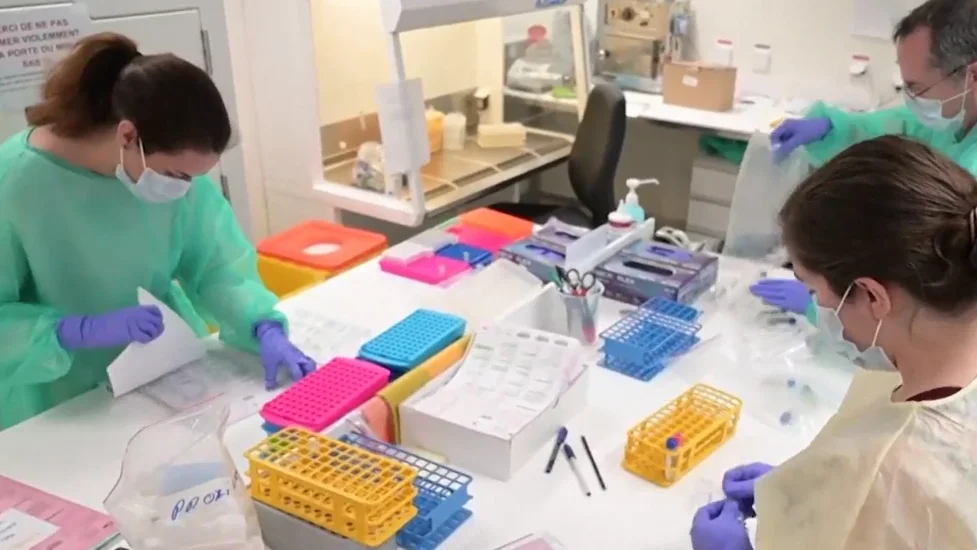 Sanitarios clasificando las pruebas de los pacientes afectados ¿Qué sabemos sobre el coronavirus?
