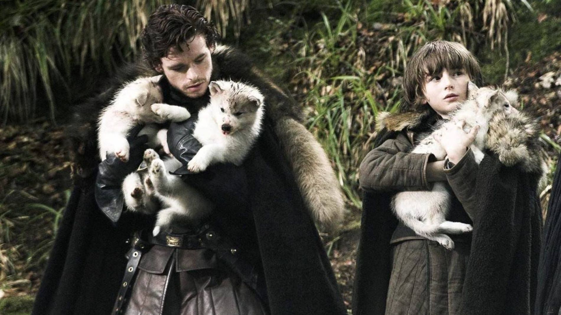 Lobos huargo en 'Juego de Tronos'