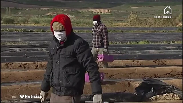 TEMPOREROS TEMPOREROS