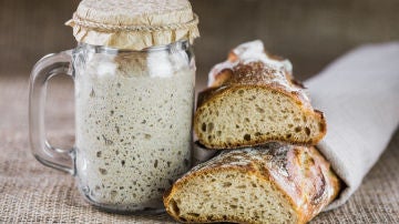 Masa madre para pan Masa madre para pan