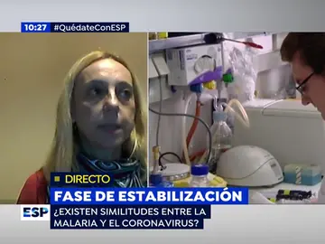 Coronavirus. Coronavirus.