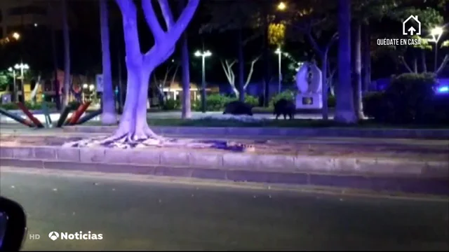 Los agricultores y cazadores piden al Gobierno que se permita la caza durante el estado de alarma por coronavirus