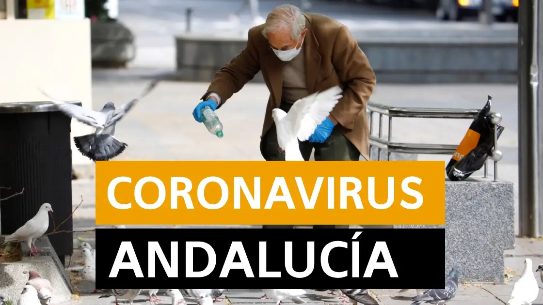 Coronavirus Andalucía | Última hora del coronavirus en Andalucía, en directo Coronavirus