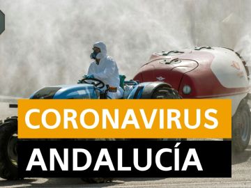 Coronavirus Andalucía: Última hora, noticias y datos hoy domingo 19 de abril, en directo | Orthocoronavirinae