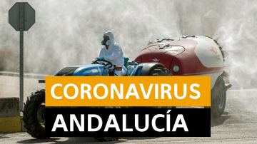 Coronavirus Andalucía: Última hora, noticias y datos hoy domingo 19 de abril, en directo | Orthocoronavirinae