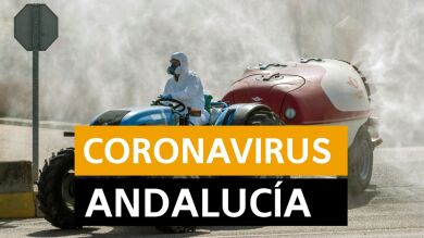 Coronavirus Andalucía: Última hora del coronavirus el domingo 19 de abril, en directo