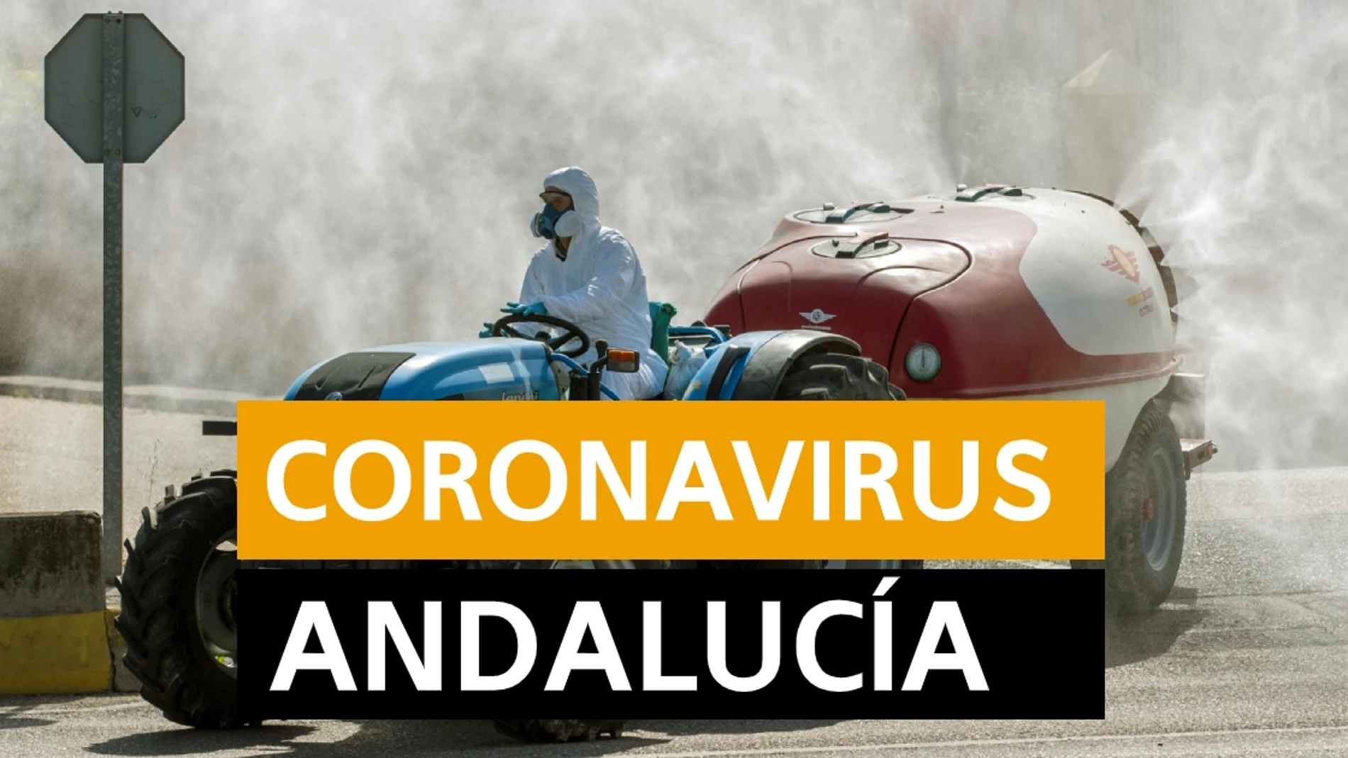Coronavirus Andalucía: Última hora, noticias y datos hoy domingo 19 de abril, en directo | Orthocoronavirinae Coronavirus Andalucía: Última hora, noticias y datos hoy domingo 19 de abril, en directo | Orthocoronavirinae