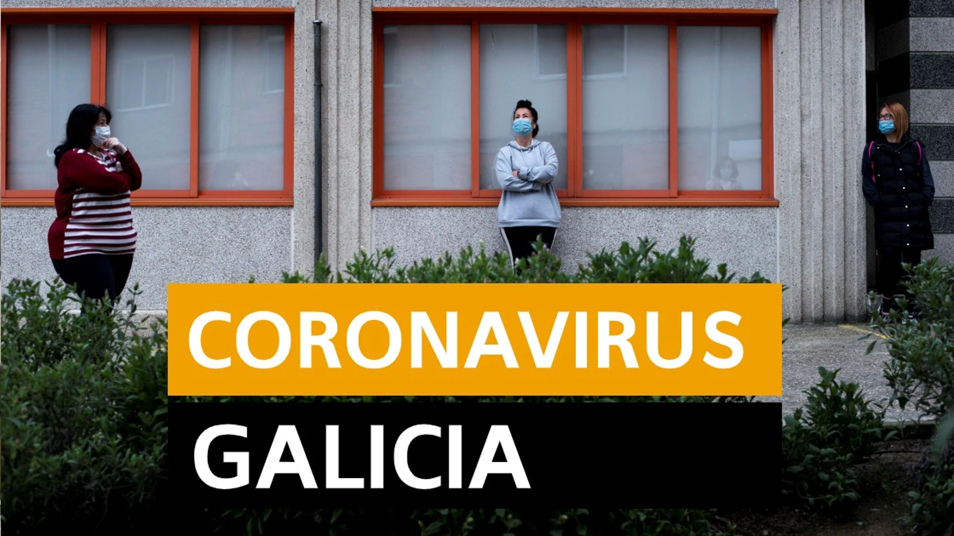Coronavirus Galicia: Última hora, noticias y datos hoy domingo 19 de abril, en directo | Orthocoronavirinae Coronavirus Galicia: Última hora, noticias y datos hoy domingo 19 de abril, en directo | Orthocoronavirinae