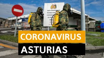Coronavirus Asturias: Última hora, noticias y datos hoy lunes 20 de abril, en directo | Orthocoronavirinae