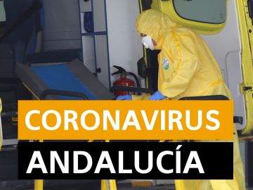 Coronavirus Andalucía: Última hora, noticias y datos hoy lunes 20 de abril, en directo | Orthocoronavirinae