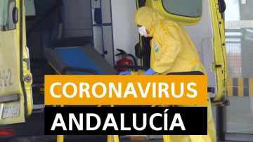 Coronavirus Andalucía: Última hora, noticias y datos hoy lunes 20 de abril, en directo | Orthocoronavirinae