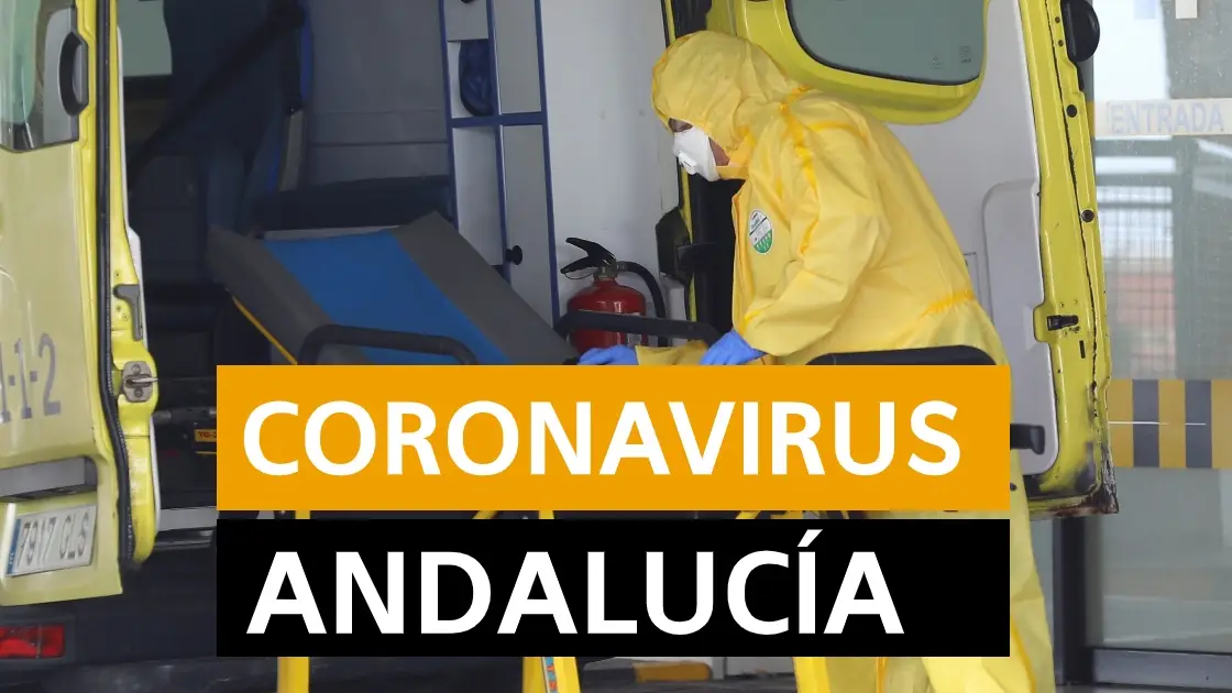 Coronavirus Andalucía: Última hora, noticias y datos hoy lunes 20 de abril, en directo | Orthocoronavirinae Coronavirus