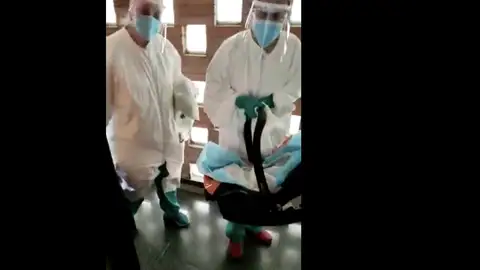 Las enfermeras con el bebé Las enfermeras con el bebé