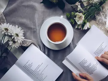 Sant Jordi 2020: Los mejores libros que regalar durante el confinamiento Sant Jordi 2020: Los mejores libros que regalar durante el confinamiento