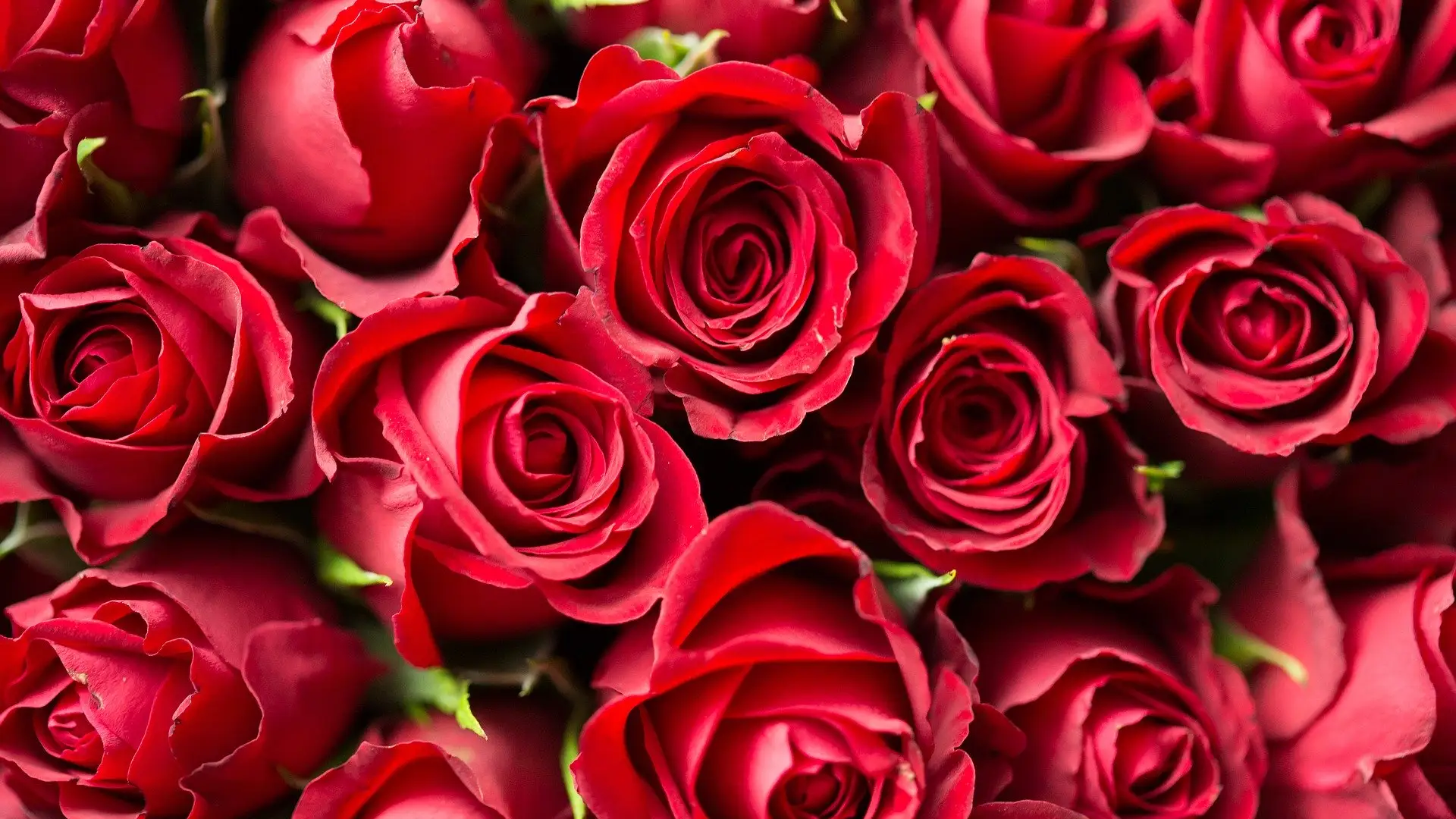Sant Jordi 2020