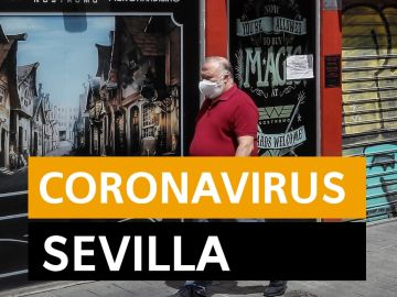 Coronavirus Sevilla: Última hora, noticias y datos hoy martes 21 de abril, en directo | Orthocoronavirinae