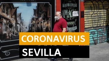 Coronavirus Sevilla: Última hora, noticias y datos hoy martes 21 de abril, en directo | Orthocoronavirinae